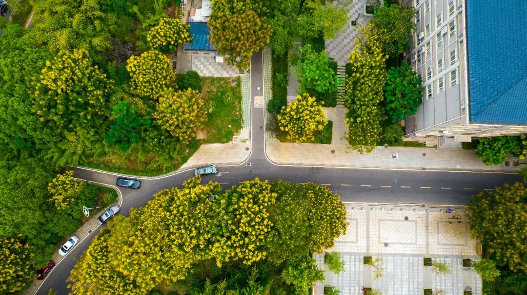 2022.9.15校园景色 摄影:李若源 (25).jpg 图片