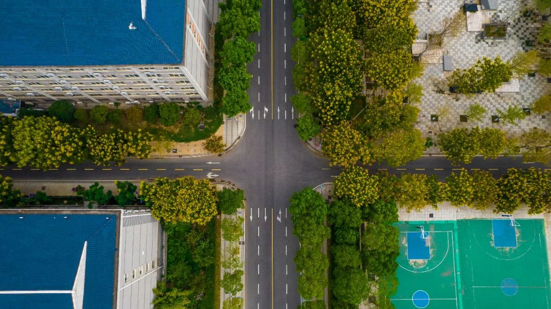 2022.9.15校园景色 摄影:李若源 (12).jpg 图片