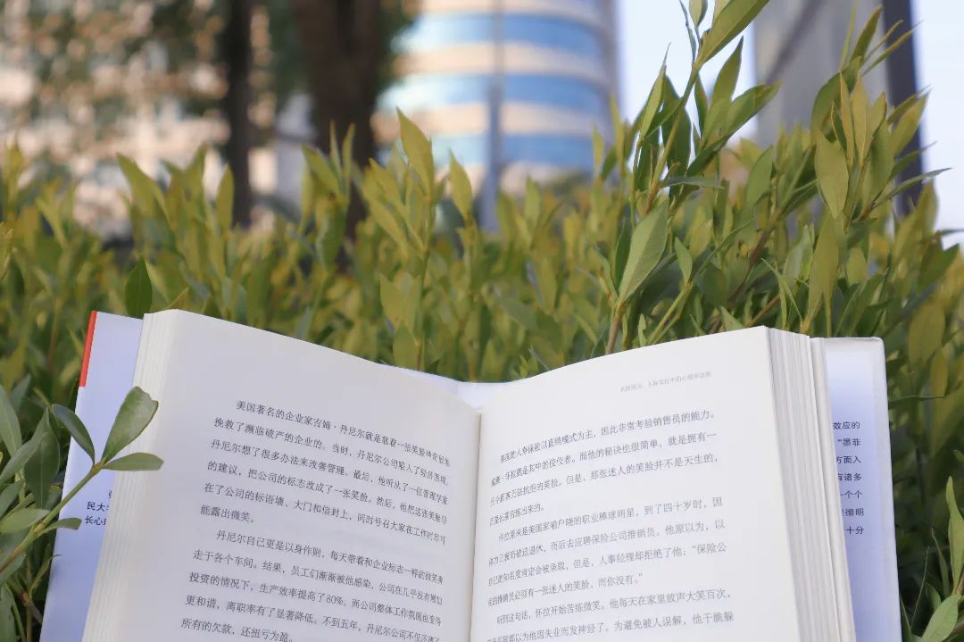 翠绿的植被拍摄:黄惠茹.JPG 图片